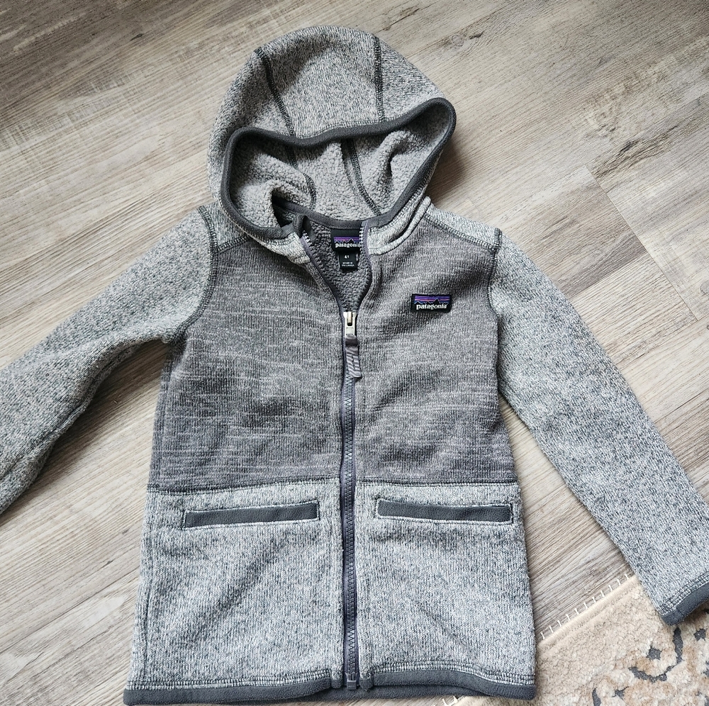 Patagonia Gray Hooded Full-Zip Jacket